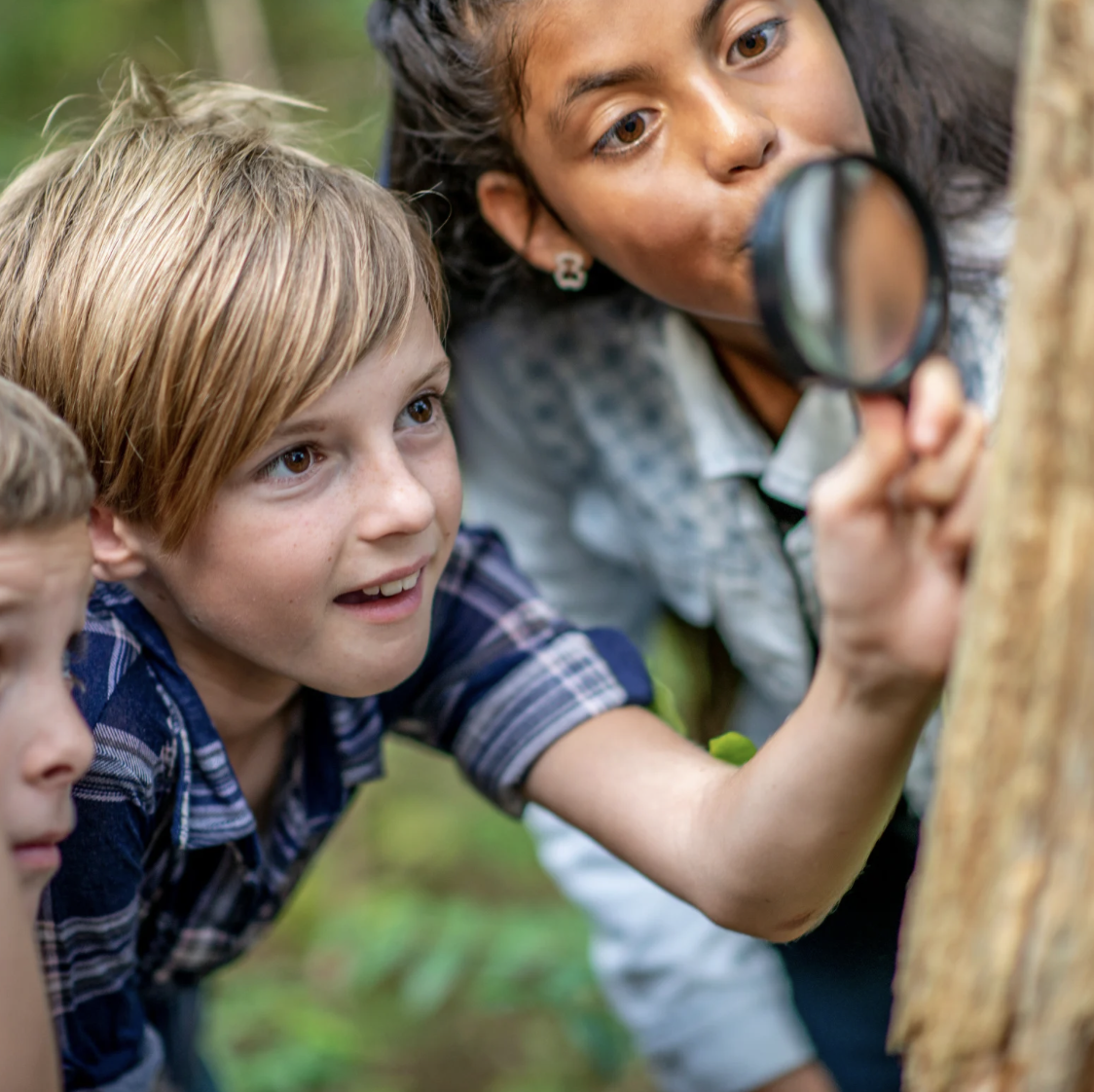 Forest School